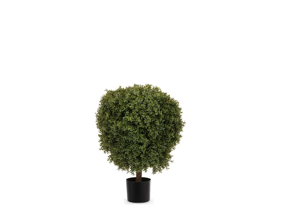 Foretti Low Buxus Tree - Artificial plant - 80 cm