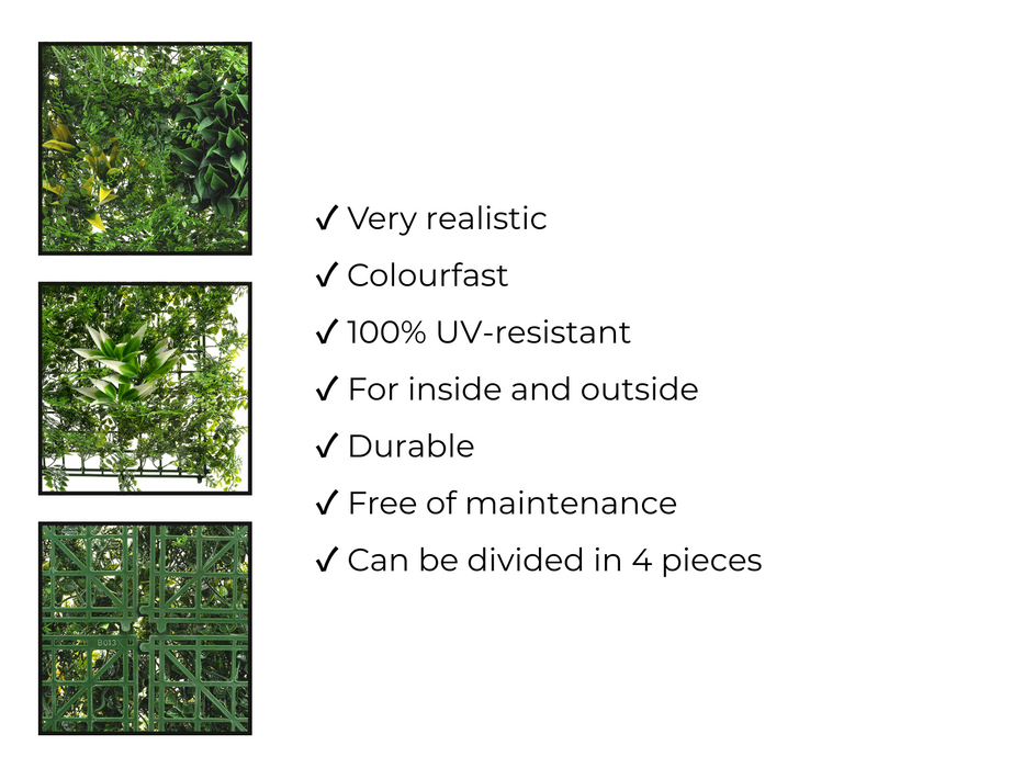 Foretti Evergreen - Planta de pared artificial - 100 x 100 cm