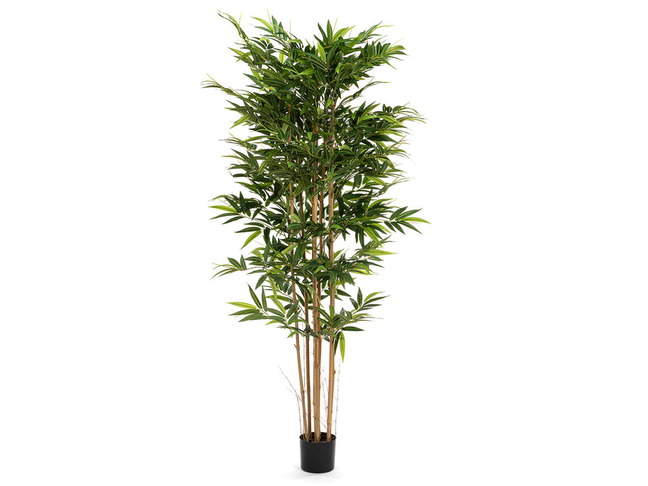 Foretti Big Bamboo Tree - Artificial Plant - 200cm