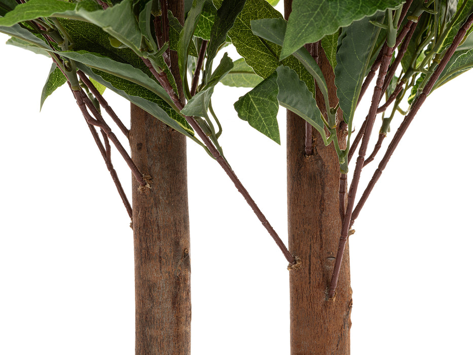Foretti Árbol de Laurel - Planta Artificial - 190 cm 