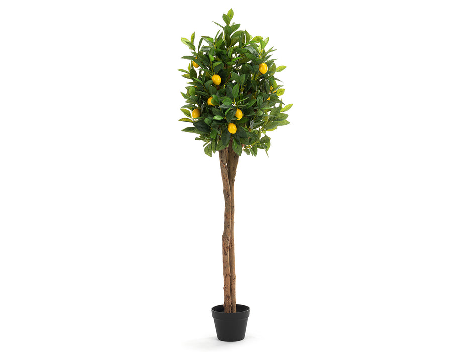 Foretti Lemon Tree - Artificial Plant - 150 cm